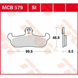 MCB579