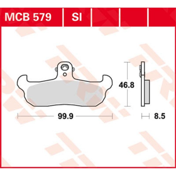 MCB579