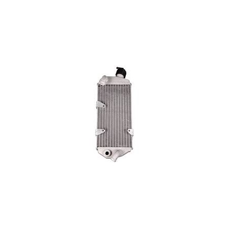 Radiator dreapta Beta XTrainer 036390018000