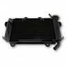 Radiator apa 125/200 Duke