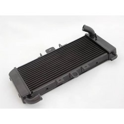 Radiator apa FZS 600 Fazer 98-03