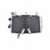 Radiator apa Monster 821 '14-16