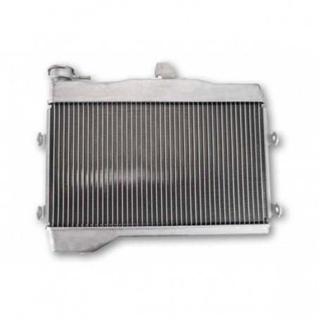 Radiator apa MT07