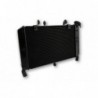 Radiator apa MT09