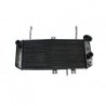 Radiator apa SV 650 N and S 05-