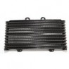 Radiator ulei GSF 1200 Bandit '01-