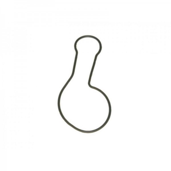 Garnitura capac pompa apa BETA RR 2T 250/300 / Xtrainer 026010350000