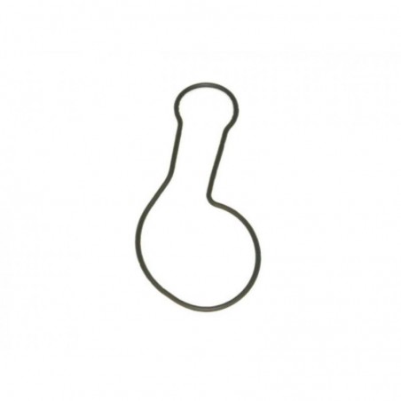 Garnitura capac pompa apa BETA RR 2T 250/300 / Xtrainer 026010350000
